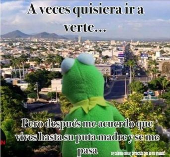 La Rana Gustavo o Rana René