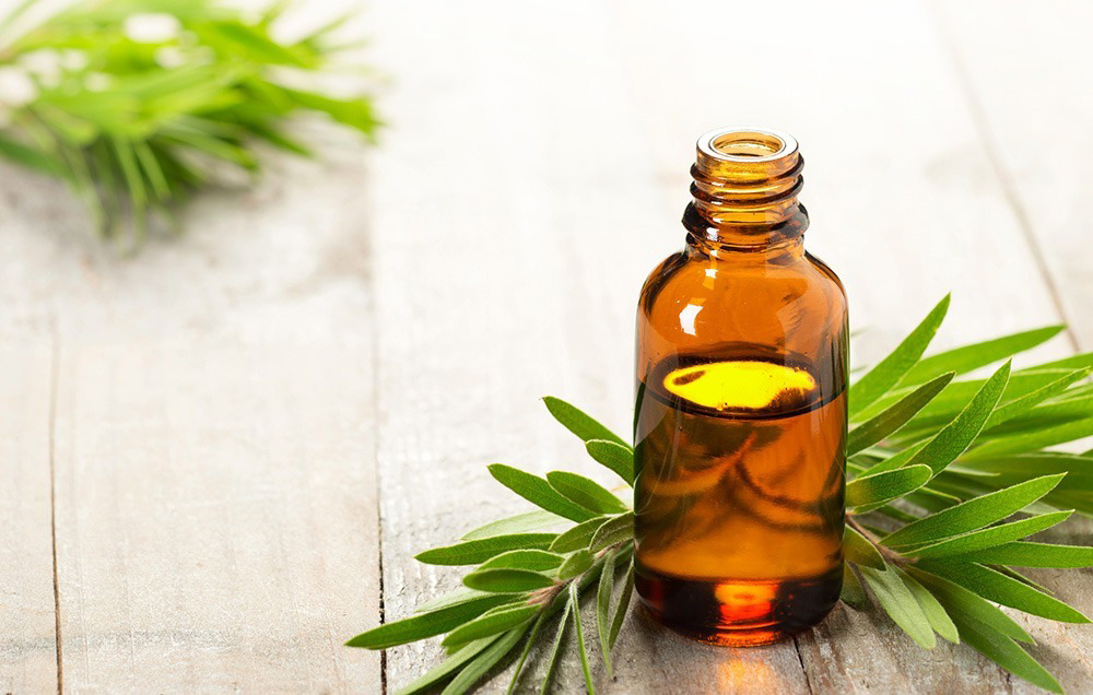 aceite del árbol de té