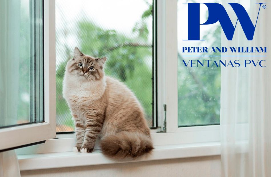 PETER & WILLIAM informa sobre todo lo que debe saber sobre las ventanas de PVC