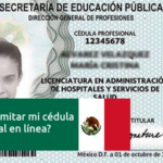 registro nacional de profesionistas