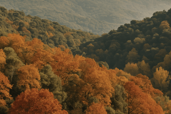 La magia del bosque en otoño llega a Barcelona: The Tiny House Barcelona combina naturaleza y ciudad